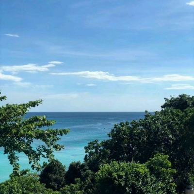 龙帆海战最新版下载